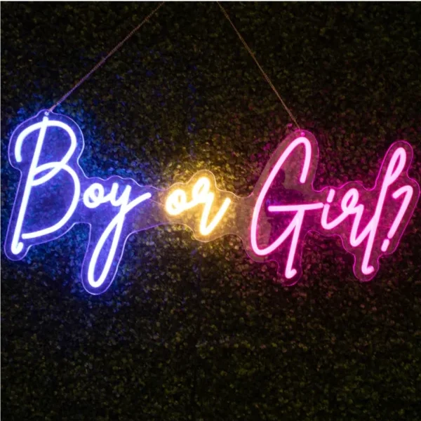Neon sign: Boy or Girl
